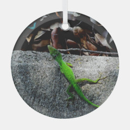 Anole Lizard 6704 Glas Ornament