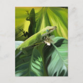 Anole Lizard Briefkaart (Voorkant)