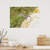 Anole Lizard Rock Poster of Print (Keuken)