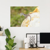 Anole Lizard Rock Poster of Print (Thuiskantoor)