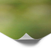 Anole Lizard Rock Poster of Print (Hoek)