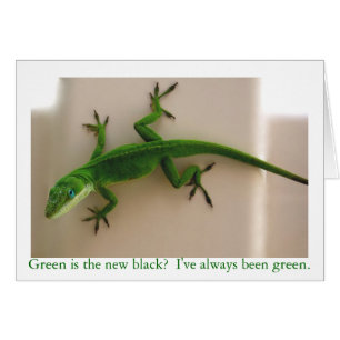 Anole vert