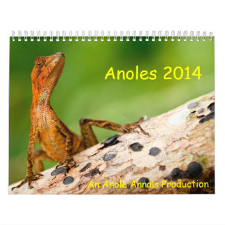Anolen 2014 kalender