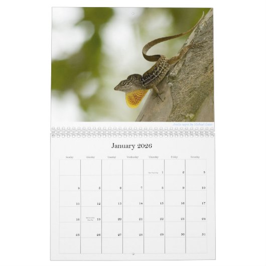 Anoles 2013 Calendar Kalender (Jan 2026)