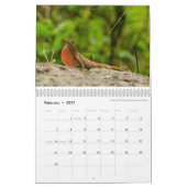 Anoles 2016 - An Anole Annals Production Kalender (Feb 2027)