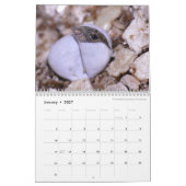 Anoles 2016 - An Anole Annals Production Kalender (Jan 2027)