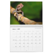 Anoles 2016 - An Anole Annals Production Kalender (Mar 2027)
