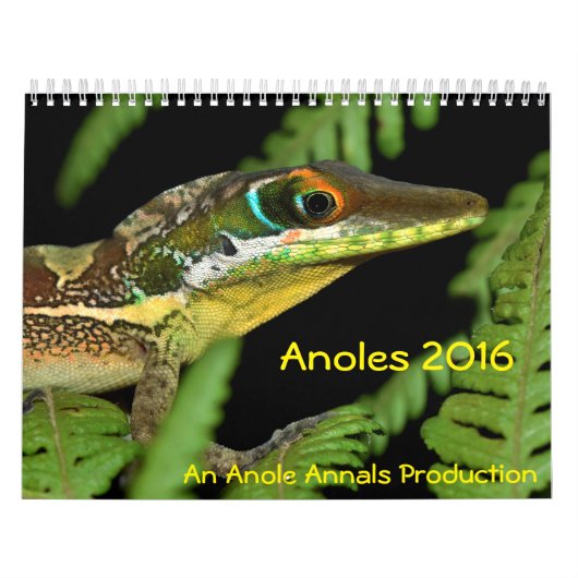Anoles 2016 - An Anole Annals Production Kalender (Hoes)