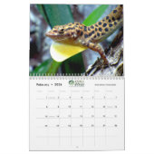 Anoles 2020 - een anole Annals Production Kalender (Feb 2026)