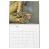 Anoles Lizard Calendrier 2025 (Mar 2026)