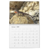 Anoles Lizard Calendrier 2025 (Jan 2027)