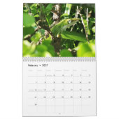 Anoles Lizard Calendrier 2025 (Feb 2027)