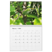 Anoles Lizard Kalender 2025 (Feb 2026)