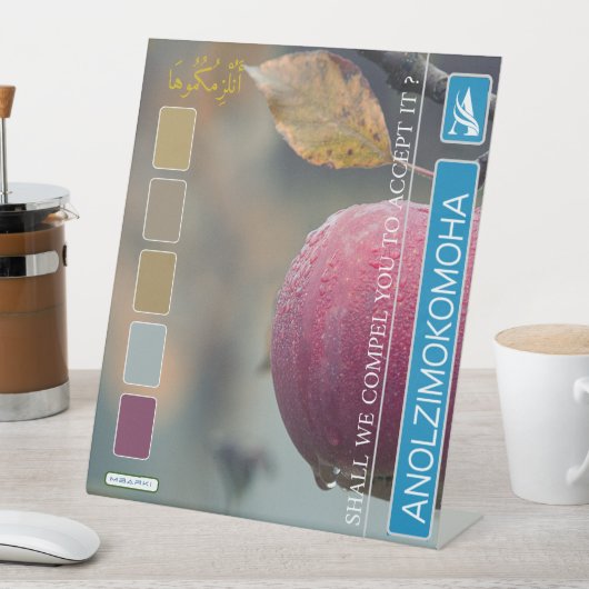 ANOLZIMOKOMOHA RECLAMEBORD MET VOETSTUK (Insitu)