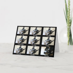 Anonieme Alcoholisten: "Blijf terugkomen..." Kaart