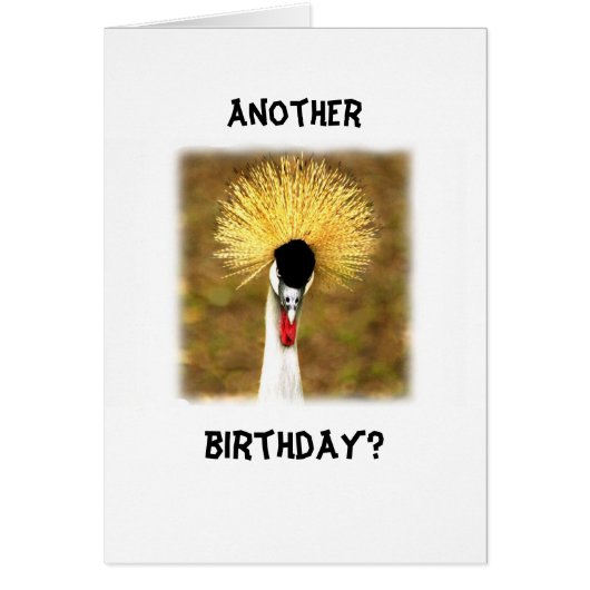 Another Birthday? Card for Senior Citizen (Devant)