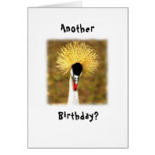 Another Birthday? Wow! Card for Senior Citizen (Devant)