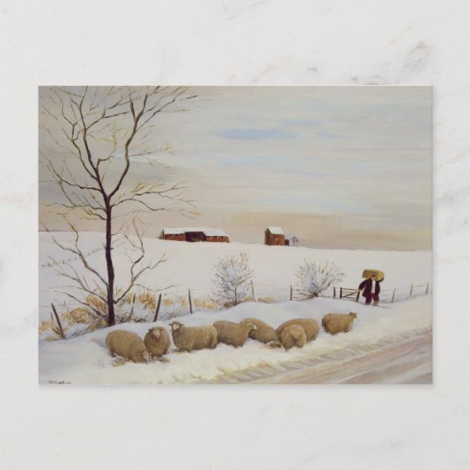 Another Hard Winter Briefkaart (Voorkant)