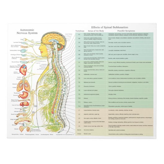 ANS Subluxe Effecten Scheur van kussens Notitieblok (Voorkant)