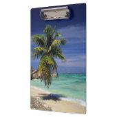 Anse Stice D'Argent Beach, La Digue Klembord (Links)