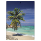 Anse Stice D'Argent Beach, La Digue Klembord (Achterkant)