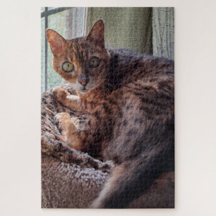 Ansel de Bengal in het raam Legpuzzel