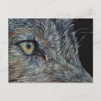 Ansichtdiagram Wolf Briefkaart