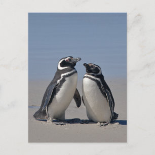 Ansichtkaart aan het strand briefkaart