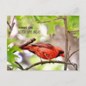 Ansichtkaart Betere Tijden Komen Briefkaart (Voorkant)