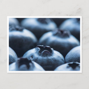Ansichtkaart - Blauwe bessen Briefkaart