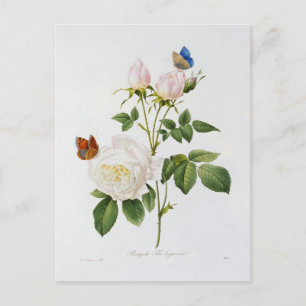 Ansichtkaart Bloemen 18 Briefkaart