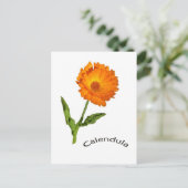 Ansichtkaart - Calendula Briefkaart (Staand voorkant)