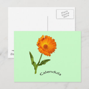 Ansichtkaart - Calendula met label Briefkaart