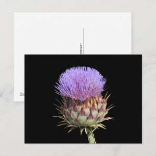 Ansichtkaart - Distel Briefkaart