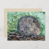 Ansichtkaart Egel. Briefkaart (Voorkant / Achterkant)