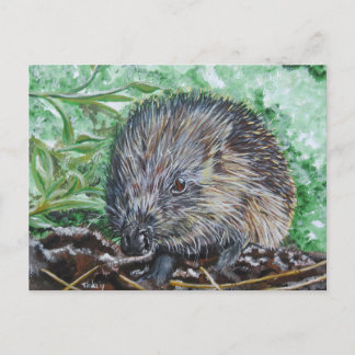 Ansichtkaart Egel. Briefkaart