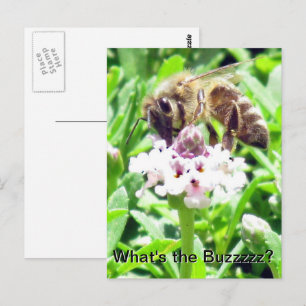 Ansichtkaart - honingbijprofiel briefkaart