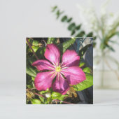 Ansichtkaart Kaart (Staand voorkant)