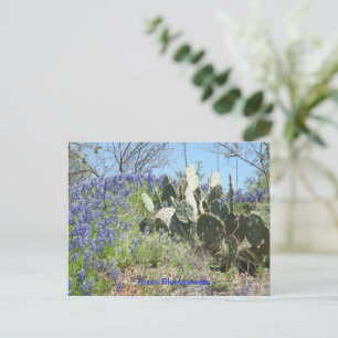 Ansichtkaart Land Texas Bluebonnets Briefkaart