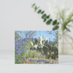 Ansichtkaart Land Texas Bluebonnets en Cactus Briefkaart