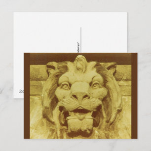 Ansichtkaart - Leeuwenkop Briefkaart