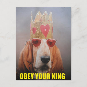 Ansichtkaart Met Basset Hound Koning Briefkaart