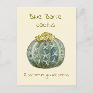 Ansichtkaart met blauwe toncactus briefkaart