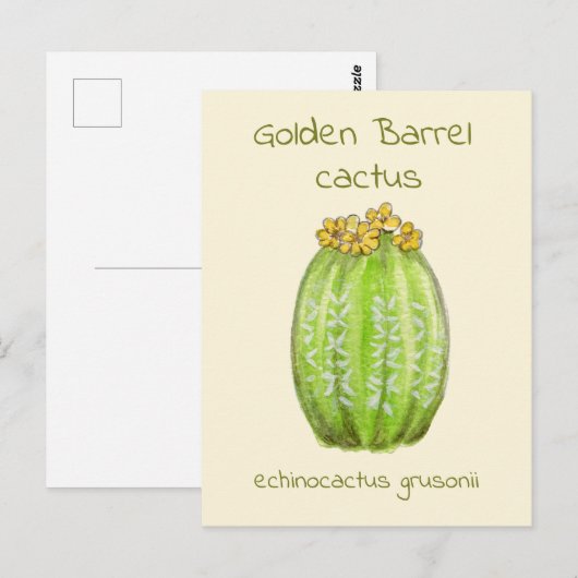 Ansichtkaart met gouden toncactus briefkaart (Voorkant / Achterkant)