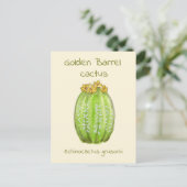 Ansichtkaart met gouden vatcactus briefkaart (Staand voorkant)