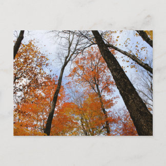 Ansichtkaart met herfstbladeren briefkaart