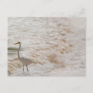 Ansichtkaart met reiger in de golven briefkaart