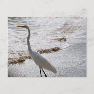 Ansichtkaart met zilverreiger in het water briefkaart