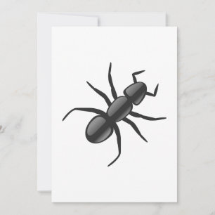 Ant