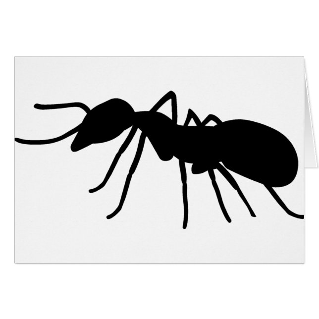 Ant (Voorkant Horizontaal)